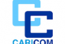 Caricom logo 