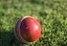 cricket ball