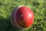 cricket ball